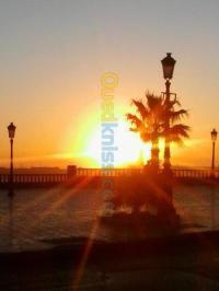الجزائر-وسط-بناء-و-أشغال-rénovation-finitions