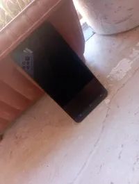 Condor Plum p6