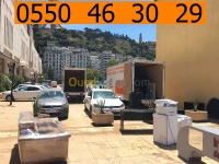 DEMENAGEMENT PARTICULIER ENTREPRISES