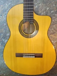 Belle guitare Flamenco Martinez électro -acoustique made in Espagne.