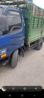 camion-hyundai-hd-35-2010-bordj-bou-arreridj-algerie