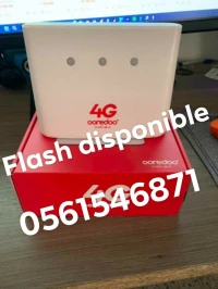 Flash modem 4G