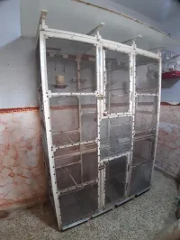 Cage volière pour élevage d'oiseaux 
