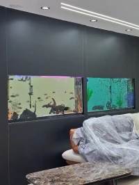 Conception personnalisés d'aquariums, Equipements, Accessoires, Poissons, Entretien et Maintenance 