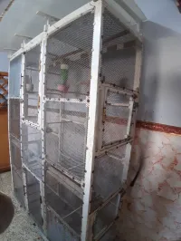 Cage volière pour élevage d'oiseaux 2 metres 