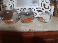 2 Poissons avec Bocal et accessoires 