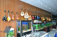 instruments de musique