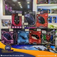 SOURIS SPIRIT OF GAMER