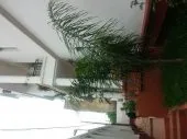 Location Niveau De Villa F3 Alger Alger centre