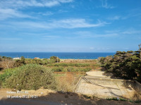 terrain-vente-oran-boutlelis-algerie