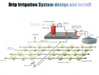 nettoyage-jardinage-service-de-systeme-dirrigation-oum-el-bouaghi-algerie