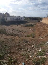 Vente Terrain Alger Zeralda thumbnail 4