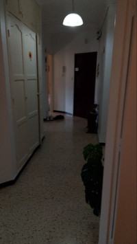 appartement-vente-f4-blida-algerie