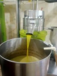 بيع الزيت زيتون بالجملة