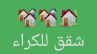 شقة-كراء-غرفتين-الجزائر-القبة