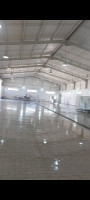 hangar-location-alger-rouiba-algerie