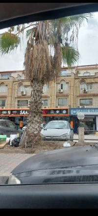 Location Appartement Niveau de villa F10+ Alger Mohammadia