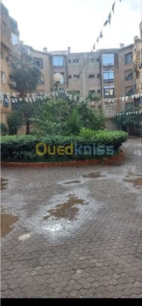 شقة-كراء-3-غرف-الجزائر-المحمدية