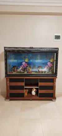 Aquarium avec meuble et filtre externe