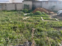 Vente Terrain Alger Ouled fayet