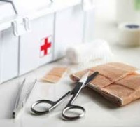 الجزائر-الكاليتوس-مدارس-و-تكوين-medecine-santé