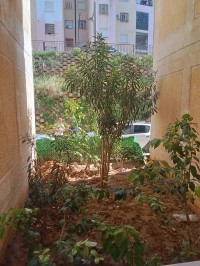 شقة-بيع-3-غرف-الجزائر-بئر-خادم
