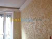 تيزي-وزو-الجزائر-بناء-و-أشغال-peinture-batimant