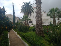 villa-location-alger-hydra-algerie