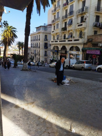 local-vente-alger-centre-algerie