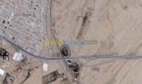 بسكرة-الجزائر-أرض-vente-terrain-biskra