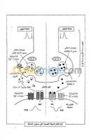 alger-bordj-el-kiffan-algerie-ecoles-formations-cours-de-science