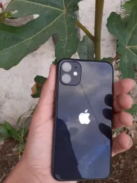 apll Phone 11