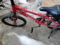 Velo