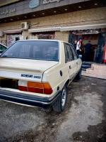 citadine-peugeot-305-1986-algerie