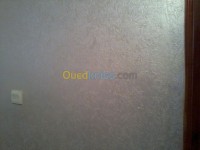 الجزائر-وسط-بناء-و-أشغال-peinture-decoration-maisson