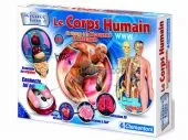 anatomie en 3D