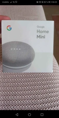 Google home mini