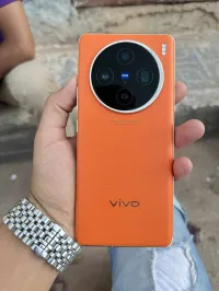 Vivo X100