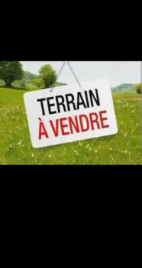 Vente Terrain Mostaganem Mostaganem