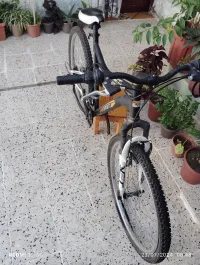 البليدة 