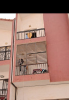 appartement-vente-f3-oran-bir-el-djir-algerie