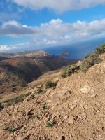 terrain-vente-ain-temouchent-oulhaca-el-gheraba-algerie