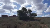Vente Terrain Tlemcen Maghnia