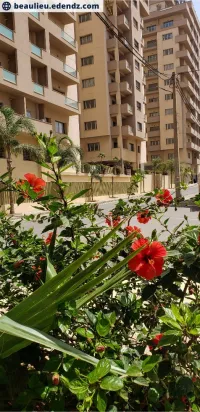 Vente Appartement Oran Oran