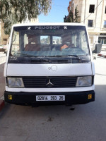 fourgon-mercedes-mb100-1993-berrouaghia-medea-algerie