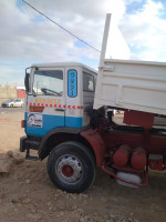 camion-renault-10-tonnes-g-1987-magra-msila-algerie