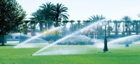 سطيف-الجزائر-تنظيف-و-بستنة-installation-de-l-arrosage-automatique