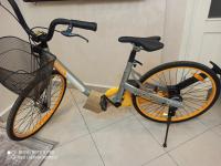 motos-scooters-36obike-هولندية-جديدة-2024-boufarik-blida-algerie