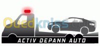 reparation-auto-diagnostic-depannage-mascara-algerie