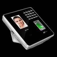 Pointeuse ZKTECO P300